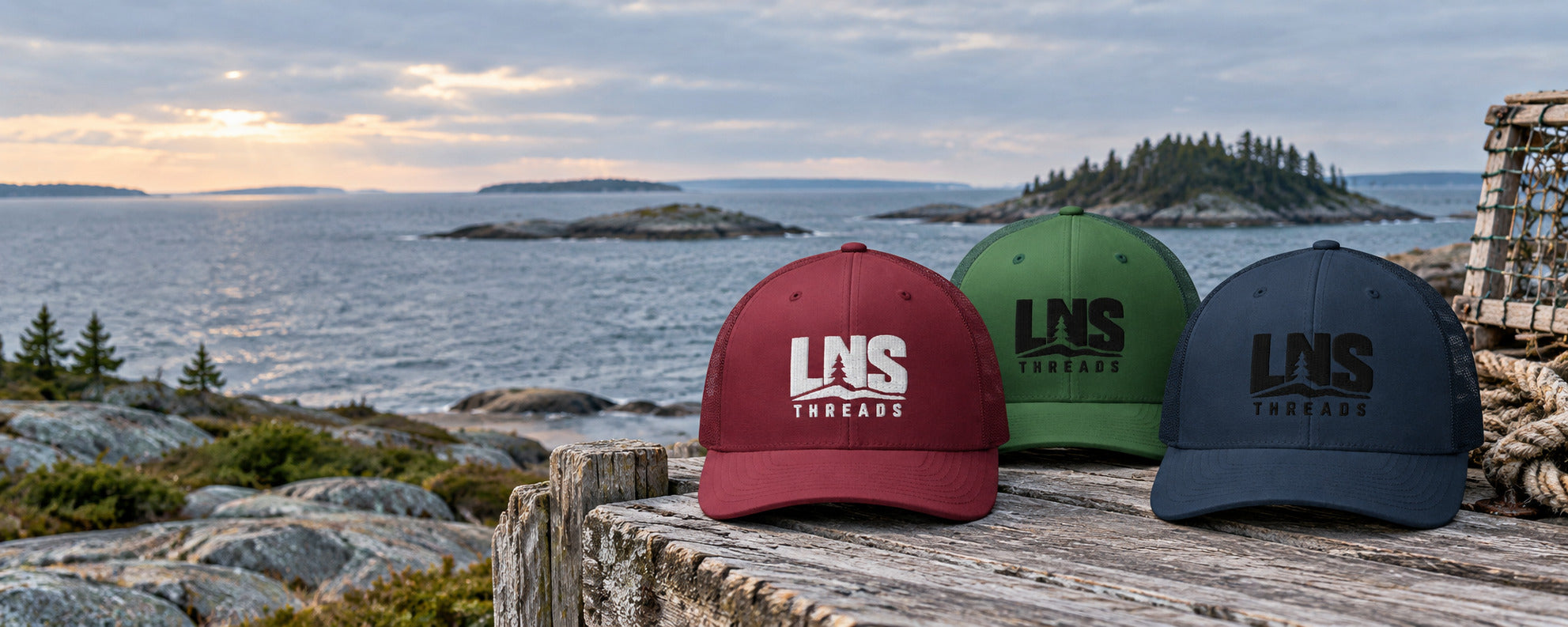 A New Mark, Rooted in the Coast