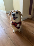 Alucard Classic Logo Dog Bandana