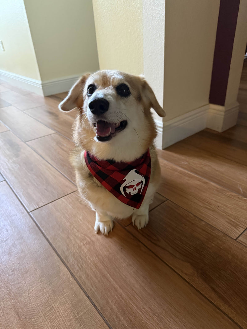 Alucard Classic Logo Dog Bandana