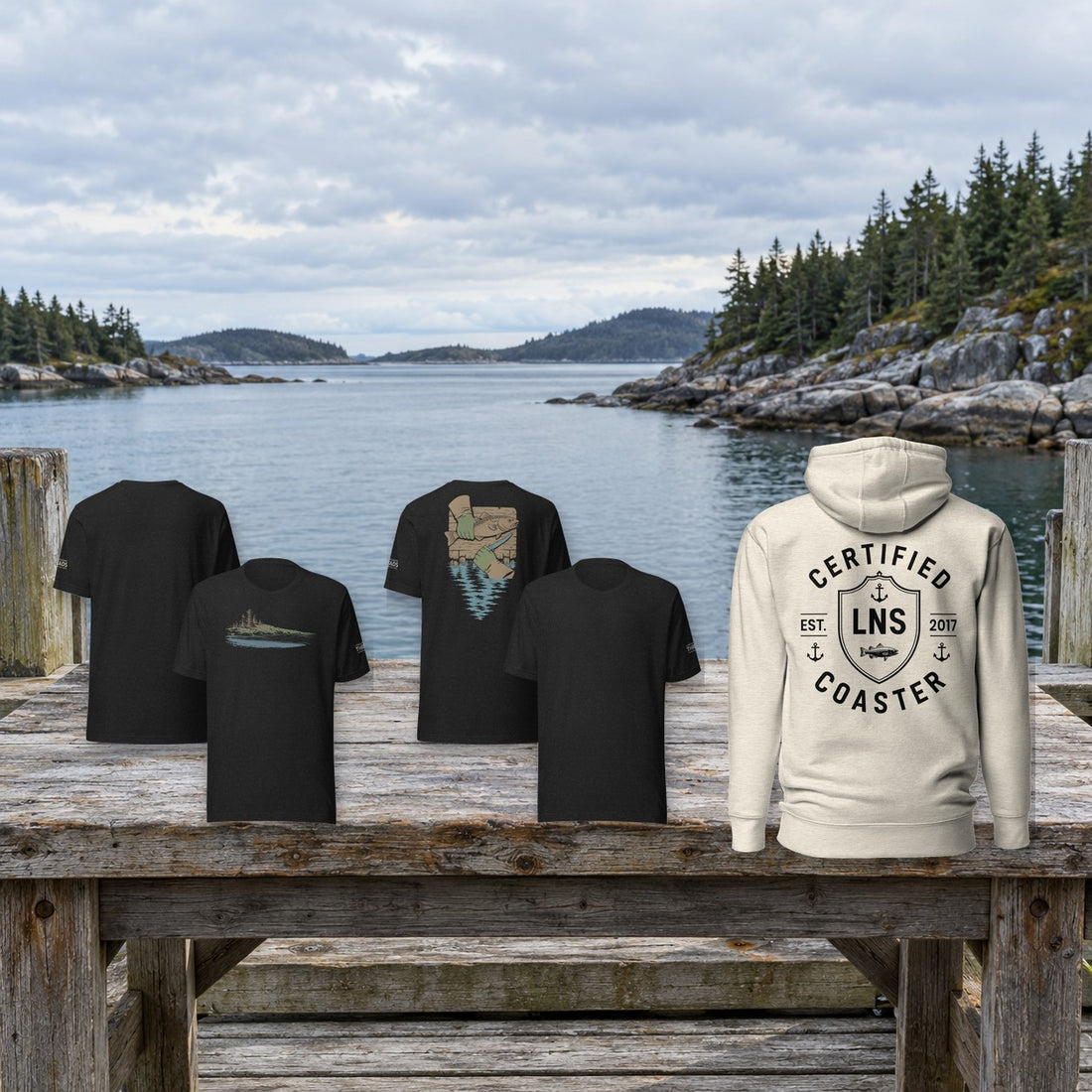 New Collections