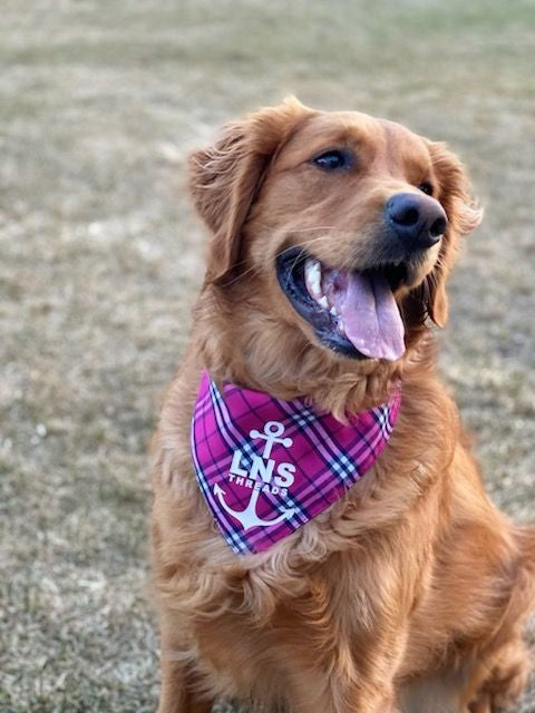 Dog Bandanas